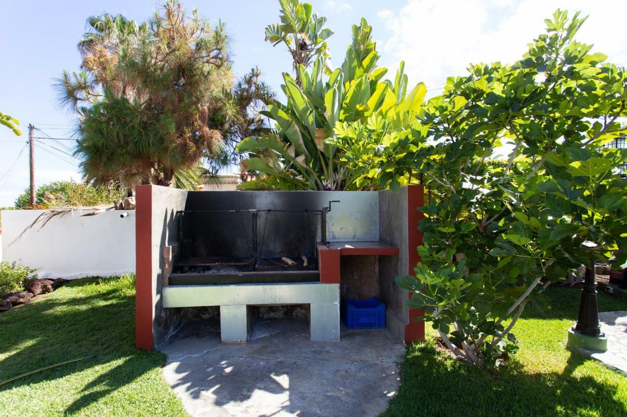 Finca La Gaviota - Las Palmeras Icod De Los Vinos Exterior foto